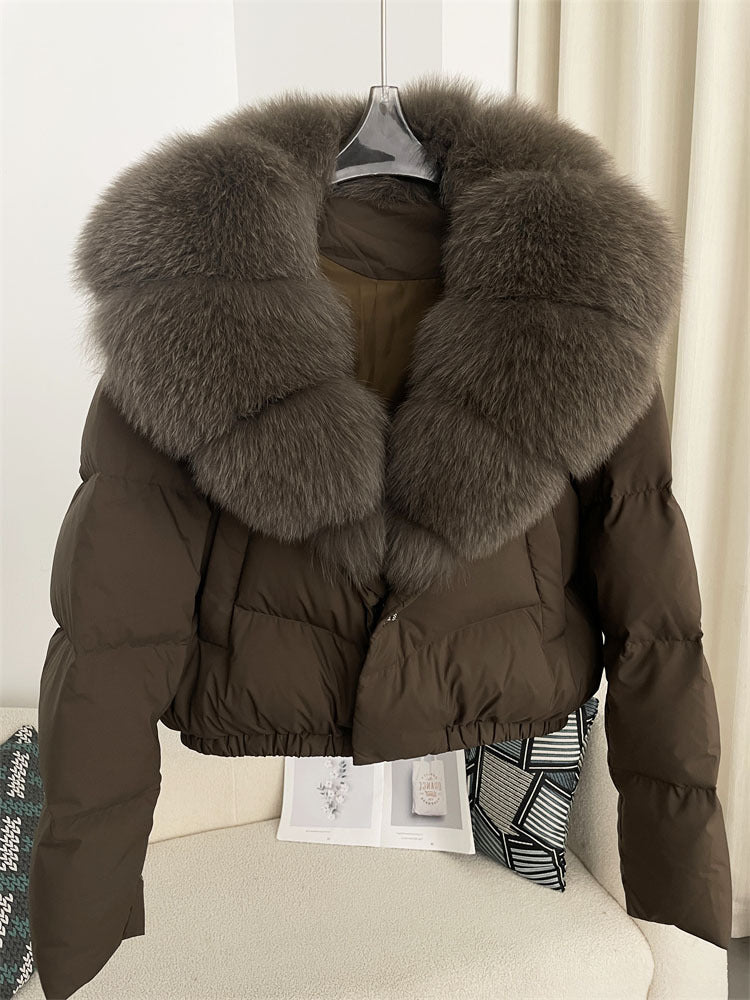 Дамско яке Winter Royale FW 2026-https://detail.1688.com/offer/828985986609.html?offerId=828985986609&spm=a260k.home2025.recommendpart.27-Thedresscode